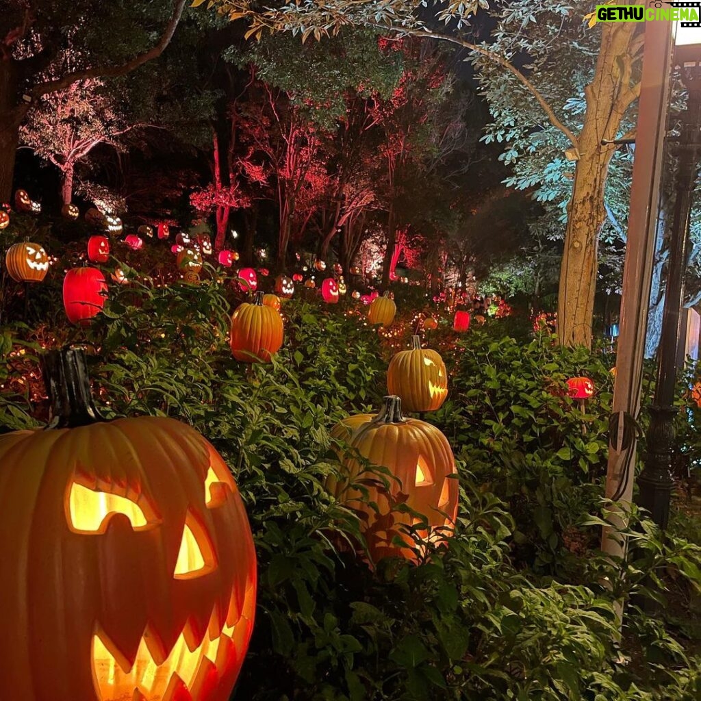 Jeffrey Cobb Instagram - Happy Halloweenie to all! Be safe, eat your candies and don’t forget to tip your waitresses! #JeffCobb #Huistenbosch #Exploring #Halloween #PumpkinsAreScary #HappyHalloween HUIS TEN BOSCH 長崎県