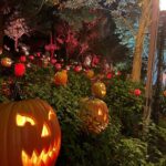 Jeffrey Cobb Instagram - Happy Halloweenie to all! Be safe, eat your candies and don’t forget to tip your waitresses! #JeffCobb #Huistenbosch #Exploring #Halloween #PumpkinsAreScary #HappyHalloween HUIS TEN BOSCH 長崎県