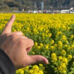 Jeffrey Cobb Instagram - Stop and smell the rose…… ummm…. Flowers. Happy belated Valentine’s Day/ photo dump…. #StopAndSmellTheRoses #EnjoyNature #NatureIsHealing #WhiteStrawberries #Aloha #JeffCobb #Itoshima
