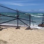 Jeffrey Cobb Instagram - To all my friends and family I got to see and all the food I got to eat…. Thank you and I love you all! Now that vacation is over, it’s time to get back on the grind! And to all those that I didn’t get to see, I’ll be back, I promise!!! #JeffCobb #Hawaii #Vacay #Vacation #Home #ComingHome #GotSomeSun