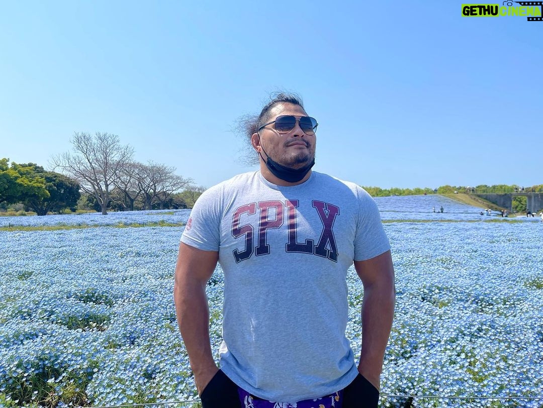 Jeffrey Cobb Instagram - At this rate I’ll be smelling all the flowers in Japan! Remember kiddos, stop and smell the roses…. I mean Nemophila. Enjoy the smaller things in life and take in all the sights and sounds you can 🤙🏽🤙🏽🤙🏽🤙🏽 #JeffCobb #SPLX #Nemophila #CapybaraTea #Kyoto #Japan #SpringTime