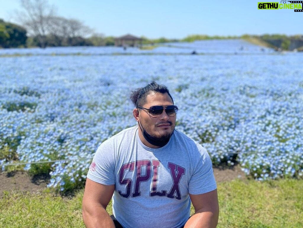 Jeffrey Cobb Instagram - At this rate I’ll be smelling all the flowers in Japan! Remember kiddos, stop and smell the roses…. I mean Nemophila. Enjoy the smaller things in life and take in all the sights and sounds you can 🤙🏽🤙🏽🤙🏽🤙🏽 #JeffCobb #SPLX #Nemophila #CapybaraTea #Kyoto #Japan #SpringTime