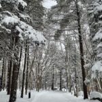 Jeffrey Cobb Instagram - Happy belated New Year to you all…. Stay safe and be warm… until then, enjoy me freezing in Hokkaido! #JeffCobb #AdventuresOfThatBrownGuy #HappyNewYear #Snow #Hokkaido #RestAndRecovery #VacationStay #AdventuresInJapan🇯🇵 NIDOＭ