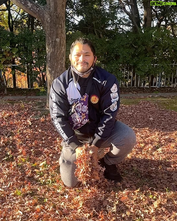 Jeffrey Cobb Instagram - Back to work 🤙🏽🤙🏽🤙🏽 #JeffCobb #SmellTheRoses #SPLX #NJPW #AdventuresOfTheBrownGuy #OnsenLife #AllTheLeavesAreBrown #HappyCobb