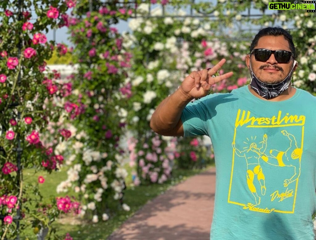 Jeffrey Cobb Instagram - The adventure continues! Learning to enjoy things I would never have thought of enjoying, flowers! I felt like I was in Europe, but I was in Sasebo, Japan! Im actually stopping to smell the roses, and I recommend you all do the same! #JeffCobb #AdventureTime #Huistenbosch #StopAndSmellTheRoses #CobbAdventures HUIS TEN BOSCH 長崎県