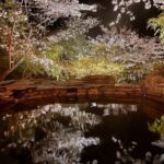 Jeffrey Cobb Instagram - I’ve made a conscious effort to explore and learn more of this wonderful country, more so because this is where my grandmother is from. The years of coming here and just seeing venues and hotel rooms aren’t going to cut it anymore, we must stop and smell the roses and appreciate all the experiences we are offered. #JeffCobb #Japan #ExploreMore #Onsen #Fukuoka #Saga #Sakura