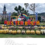 Jeffrey Cobb Instagram - Happy Halloweenie to all! Be safe, eat your candies and don’t forget to tip your waitresses! #JeffCobb #Huistenbosch #Exploring #Halloween #PumpkinsAreScary #HappyHalloween HUIS TEN BOSCH 長崎県