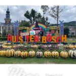 Jeffrey Cobb Instagram – Happy Halloweenie to all! Be safe, eat your candies and don’t forget to tip your waitresses! #JeffCobb #Huistenbosch #Exploring #Halloween #PumpkinsAreScary #HappyHalloween HUIS TEN BOSCH 長崎県