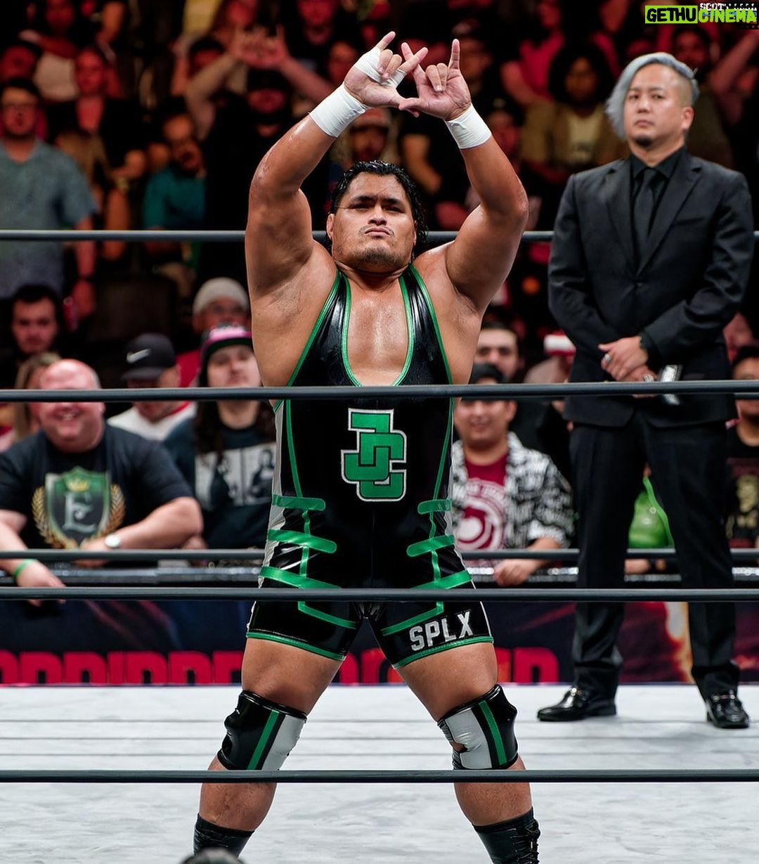Jeffrey Cobb Instagram - 🔥Jeff Cobb / Forbidden Door 2 / Toronto, Canada . . . . 📷 @scottlesh724 #jeffcobb #njpw #unitedempire #njcup #aew #allelitewrestling #newjapan #forbiddendoor #newjapanprowrestling #新日本プãƒãƒ¬ã‚¹ #newjapancup #touroftheislands #hawaii #hawaiistagram #olympian #suplexparty #suplex #teamsplx #splx #プãƒãƒ¬ã‚¹ #splxプãƒãƒ¬ã‚¹ Scotiabank Arena