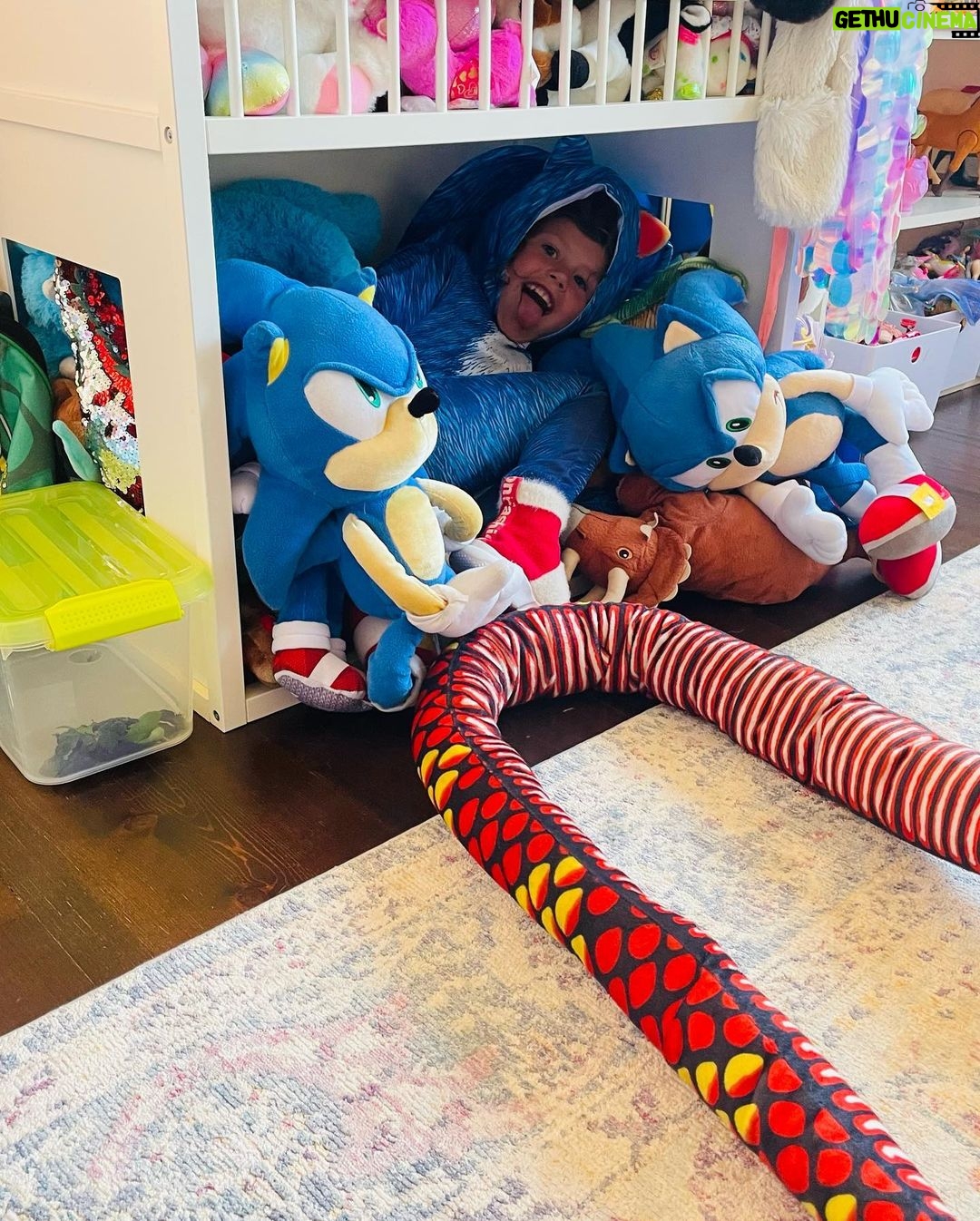 Jeffrey Dean Morgan Instagram - Here we go. Xxjd… and a shelf full of sonics.