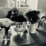 Jeffrey Dean Morgan Instagram - Happy Mother’s Day to this one. The best mama we could ever hope for. I hope it’s a special day for every mom out there… god knows y’all deserve at least today! Maybe a happy mother’s month is in order… especially this year! Mama, we couldn’t do anything without you. Big love, me, Gus, george, bandit, honeydog… and the 60 animals wandering mischief. YOU ARE ADORED.