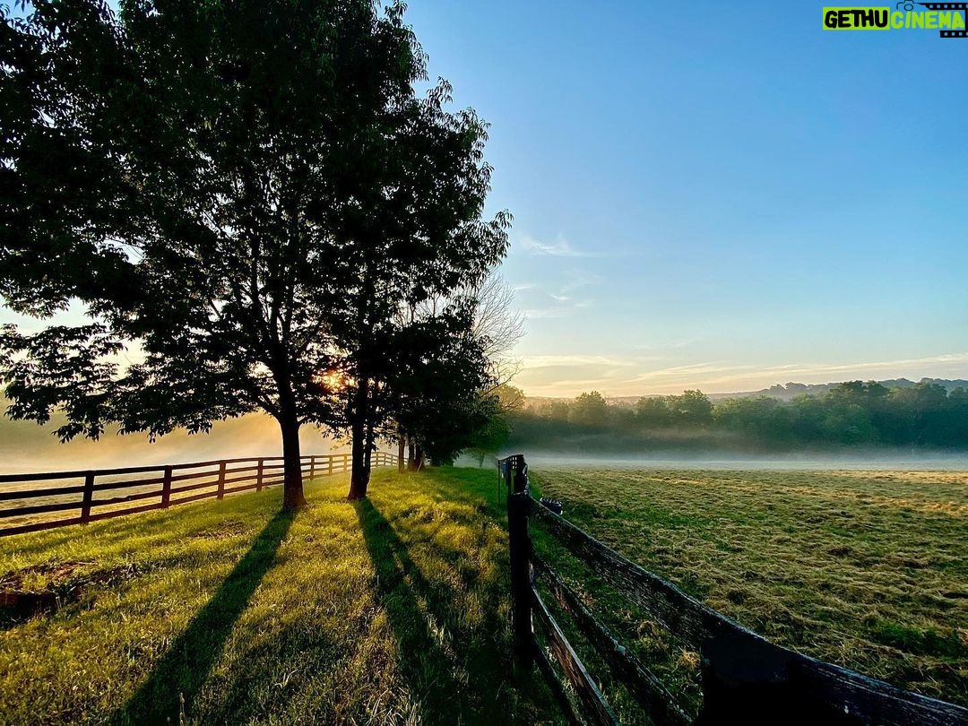 Jeffrey Dean Morgan Instagram - Asleep at 3am, up at first light. Needed to get the birds out before it heats up too much. Woke to a beautiful sunrise that Id like to believe is courteous of Silvercoin. Have a nice Sunday. Be good to eachother. Change is a coming.... keep your foot on the gas. Xojd and @themischieffarm AND... HAPPY POPS DAY to all the dads out there !! Ain’t it great!