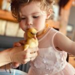 Jeffrey Dean Morgan Instagram - Happy Easter from @themischieffarm bunch of baby ducks courtesy of a certain bunny. This one? He’s “pickle” xxxjd