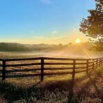 Jeffrey Dean Morgan Instagram - Asleep at 3am, up at first light. Needed to get the birds out before it heats up too much. Woke to a beautiful sunrise that Id like to believe is courteous of Silvercoin. Have a nice Sunday. Be good to eachother. Change is a coming.... keep your foot on the gas. Xojd and @themischieffarm AND... HAPPY POPS DAY to all the dads out there !! Ain’t it great!