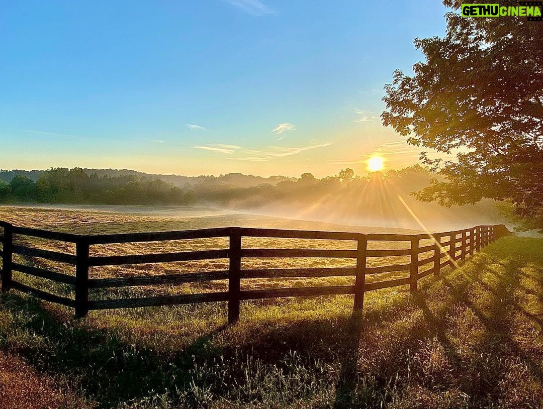 Jeffrey Dean Morgan Instagram - Asleep at 3am, up at first light. Needed to get the birds out before it heats up too much. Woke to a beautiful sunrise that Id like to believe is courteous of Silvercoin. Have a nice Sunday. Be good to eachother. Change is a coming.... keep your foot on the gas. Xojd and @themischieffarm AND... HAPPY POPS DAY to all the dads out there !! Ain’t it great!