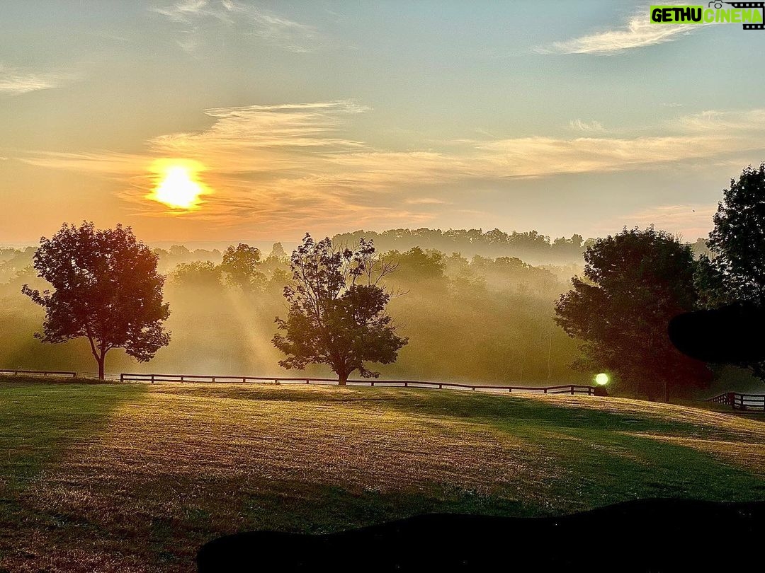 Jeffrey Dean Morgan Instagram - Asleep at 3am, up at first light. Needed to get the birds out before it heats up too much. Woke to a beautiful sunrise that Id like to believe is courteous of Silvercoin. Have a nice Sunday. Be good to eachother. Change is a coming.... keep your foot on the gas. Xojd and @themischieffarm AND... HAPPY POPS DAY to all the dads out there !! Ain’t it great!