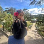 Jelai Andres Instagram – Hi Baby! 💙🖤🌸🌲

#jelaiandres