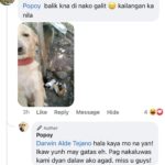 Jelai Andres Instagram – Sabi ko na nga ba hindi kita dapat binilhan ng cp eh! @popoythepogi (swipe left)

#Popoy #RescueDog #PopoythePogi