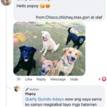 Jelai Andres Instagram – Sabi ko na nga ba hindi kita dapat binilhan ng cp eh! @popoythepogi (swipe left)

#Popoy #RescueDog #PopoythePogi