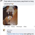 Jelai Andres Instagram – Sabi ko na nga ba hindi kita dapat binilhan ng cp eh! @popoythepogi (swipe left)

#Popoy #RescueDog #PopoythePogi