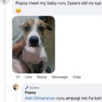 Jelai Andres Instagram – Sabi ko na nga ba hindi kita dapat binilhan ng cp eh! @popoythepogi (swipe left)

#Popoy #RescueDog #PopoythePogi