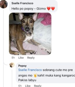 Jelai Andres Instagram - Sabi ko na nga ba hindi kita dapat binilhan ng cp eh! @popoythepogi (swipe left) #Popoy #RescueDog #PopoythePogi