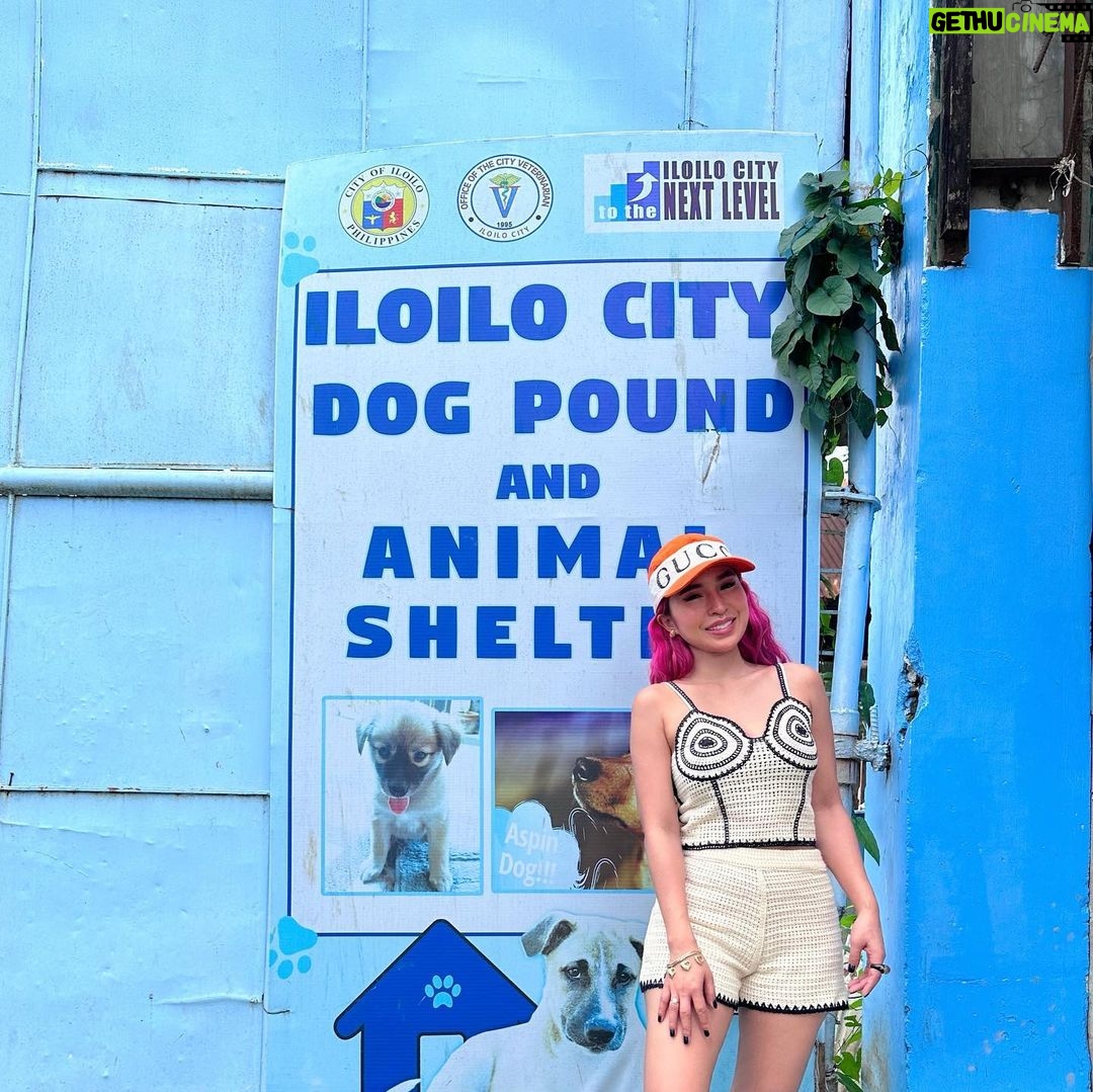 Jelai Andres Instagram - (Swipeleft) We went to ILOILO Falcor DINAGYANG furtastic for a show. And I bought my talent fee a sacks of dog food, vitamins, shampoo etc. and dinala namin sa Iloilo Dog Pound. Im so happy na itong pound na to ay hindi nag memercy killing ng mga aspins/ animals na nahuhuli nila. π€π Ambabait ng mga babies natin doon sobra. Pinaliguan pa namin. Everyone pls adopt dont shop. π€ And pinrank ko si Buboy na nakagat ako ng aso π super panic siya eh! Sympre napaarte ko ang mga dogs. Nakinig sila sakin super cute π lab yu WATCH THE FULL VIDEO ON MY YOUTUBE CHANNEL