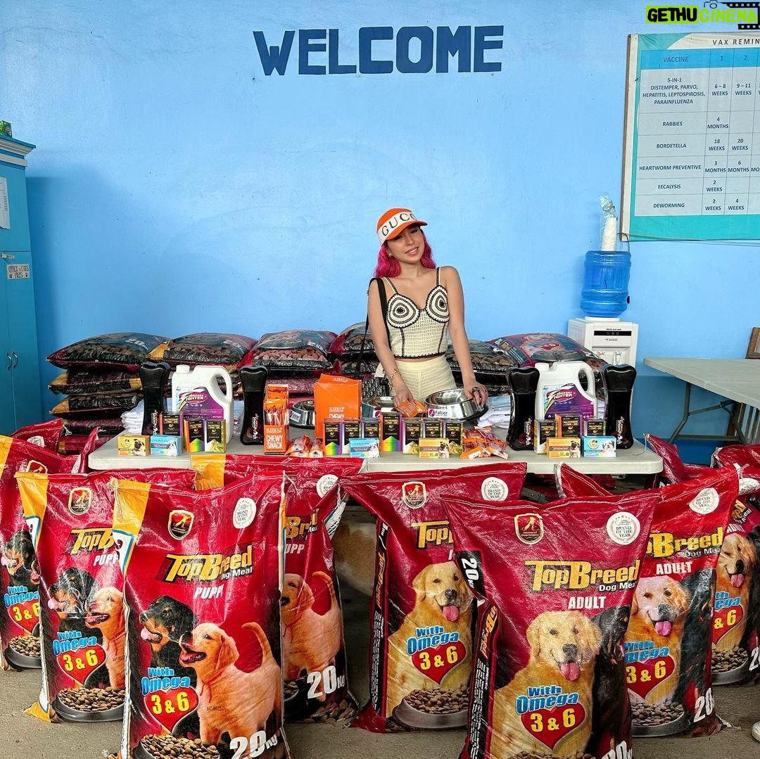 Jelai Andres Instagram - (Swipeleft) We went to ILOILO Falcor DINAGYANG furtastic for a show. And I bought my talent fee a sacks of dog food, vitamins, shampoo etc. and dinala namin sa Iloilo Dog Pound. Im so happy na itong pound na to ay hindi nag memercy killing ng mga aspins/ animals na nahuhuli nila. π€π Ambabait ng mga babies natin doon sobra. Pinaliguan pa namin. Everyone pls adopt dont shop. π€ And pinrank ko si Buboy na nakagat ako ng aso π super panic siya eh! Sympre napaarte ko ang mga dogs. Nakinig sila sakin super cute π lab yu WATCH THE FULL VIDEO ON MY YOUTUBE CHANNEL