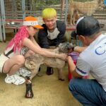 Jelai Andres Instagram – (Swipeleft) We went to ILOILO Falcor DINAGYANG furtastic for a show. And I bought my talent fee a sacks of dog food, vitamins, shampoo etc. and dinala namin sa Iloilo Dog Pound. Im so happy na itong pound na to ay hindi nag memercy killing ng mga aspins/ animals na nahuhuli nila. 🤍🎉 Ambabait ng mga babies natin doon sobra. Pinaliguan pa namin. Everyone pls adopt dont shop. 🤍 And pinrank ko si Buboy na nakagat ako ng aso 😂 super panic siya eh! Sympre napaarte ko ang mga dogs. Nakinig sila sakin super cute 😂 lab yu 
WATCH THE FULL VIDEO ON MY YOUTUBE CHANNEL