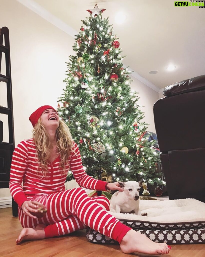 Jenna Boyd Instagram - Merry Christmas from me and a very unamused Tippie 🎄🐶❤️