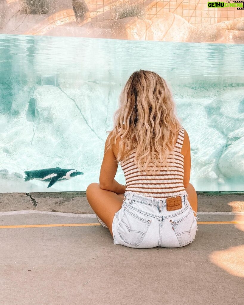 Jenna Boyd Instagram - Penguins mate for life ya know ✨ Major Atypical vibes courtesy of @tulsazoo 🐧💙🎬 Tulsa Zoo