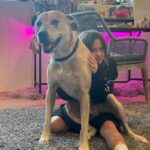 Jenna Dewan Instagram - lookin’ a little halloweeny