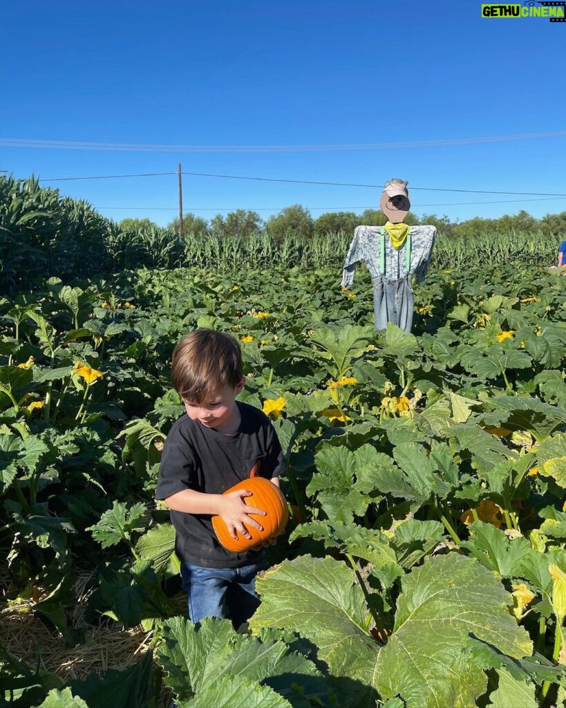 Jenna Dewan Instagram - The season is pumpkin patch 🍁