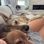 Jenna Dewan Instagram – 🐫 dump day