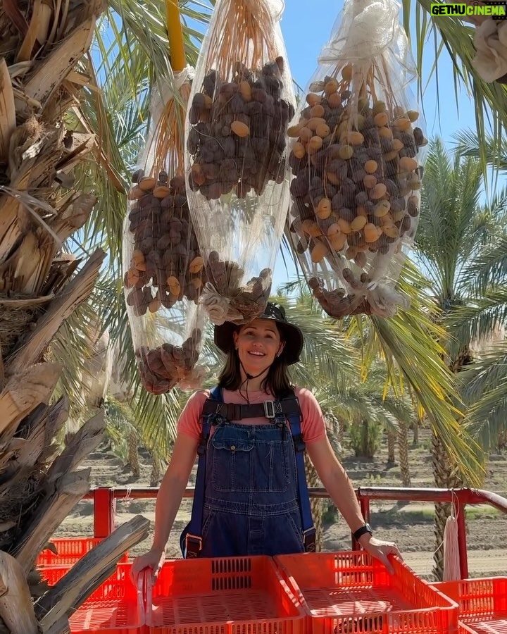 Jennifer Garner Instagram - I love meeting @onceuponafarm suppliers—and I’ll harvest dates for our products any time! 🌴👩🏻🌾☀️ I ♥️ farmers! Coachella Valley, California