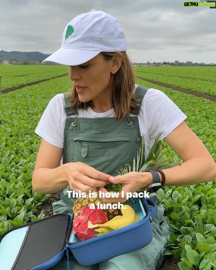 Jennifer Garner Instagram - Spinach, you handsome devil, you. π±π (@onceuponafarm suppliers and farmersβ we love talking organic goodness with you!) π©π»βπΎπ Central Coast (California)