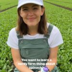 Jennifer Garner Instagram - Spinach, you handsome devil, you. 🌱💚 (@onceuponafarm suppliers and farmers— we love talking organic goodness with you!) 👩🏻‍🌾🚜 Central Coast (California)