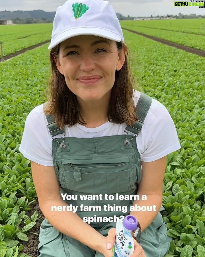 Jennifer Garner Instagram - Spinach, you handsome devil, you. π±π (@onceuponafarm suppliers and farmersβ we love talking organic goodness with you!) π©π»βπΎπ Central Coast (California)