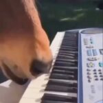Jennifer Garner Instagram - Friday night. 🎹 . Thank you, internet.