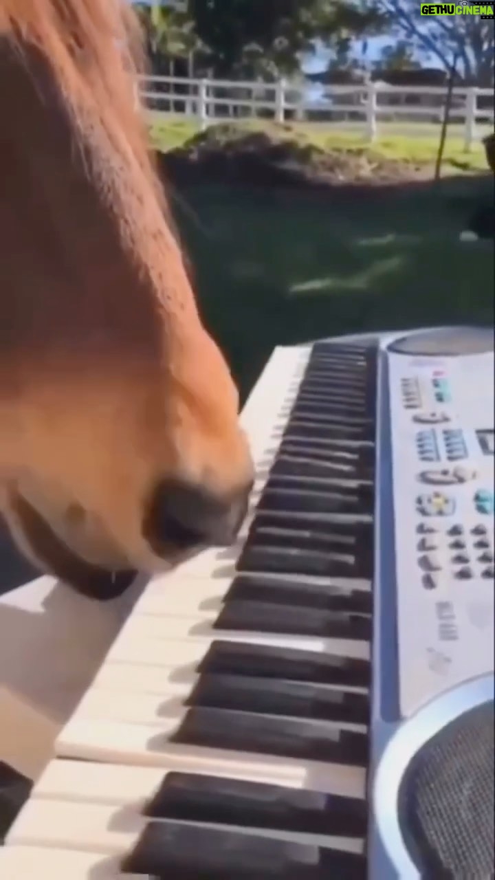 Jennifer Garner Instagram - Friday night. 🎹 . Thank you, internet.