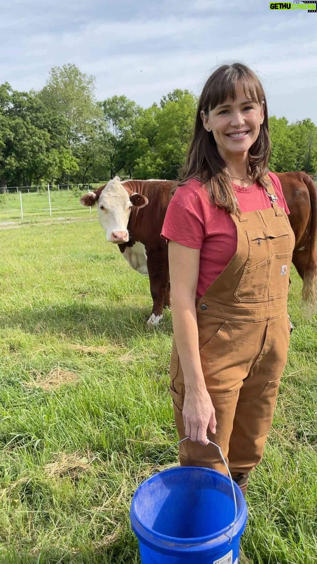 Jennifer Garner Instagram - I hope your company holiday party is as lit as ours at @onceuponafarm. 🐮🎊🥂👩🏻🌾 Locust Grove, Oklahoma