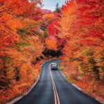Jennifer Garner Instagram - My aspiring aesthetic is leaf peeper. 🍂 . 📸: @ryanresatka via @paradise