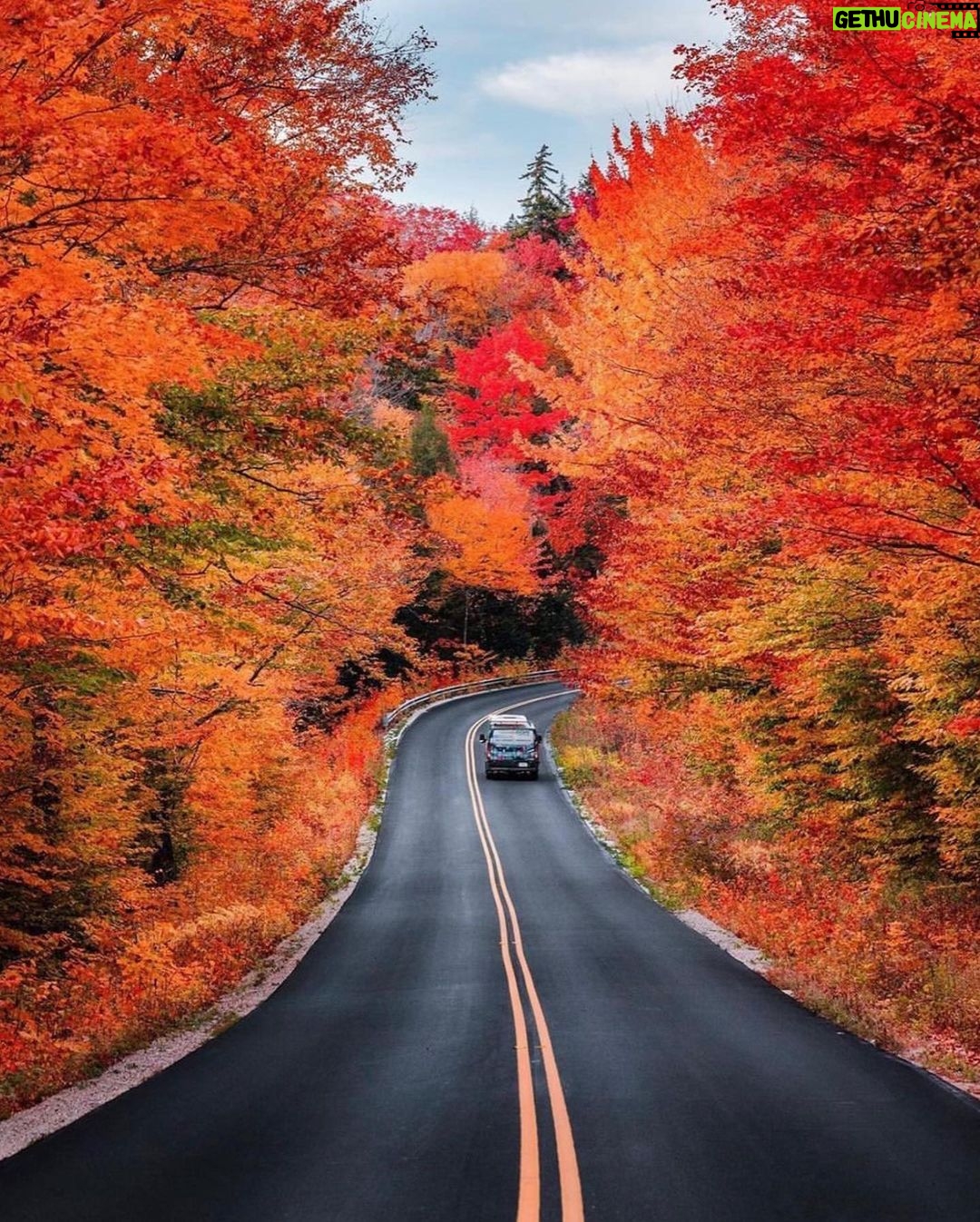 Jennifer Garner Instagram - My aspiring aesthetic is leaf peeper. 🍂 . 📸: @ryanresatka via @paradise