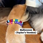 Jennifer Garner Instagram - Halloween (Taylor’s Version) 🩵🎃🏈 #HappyHalloween