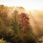 Jennifer Garner Instagram - I love the calm beauty of a West Virginia autumn. 🍂🍁🍃 . 📸: @harrisboofs