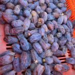 Jennifer Garner Instagram - I love meeting @onceuponafarm suppliers—and I’ll harvest dates for our products any time! 🌴👩🏻‍🌾☀️ I ♥️ farmers! Coachella Valley, California