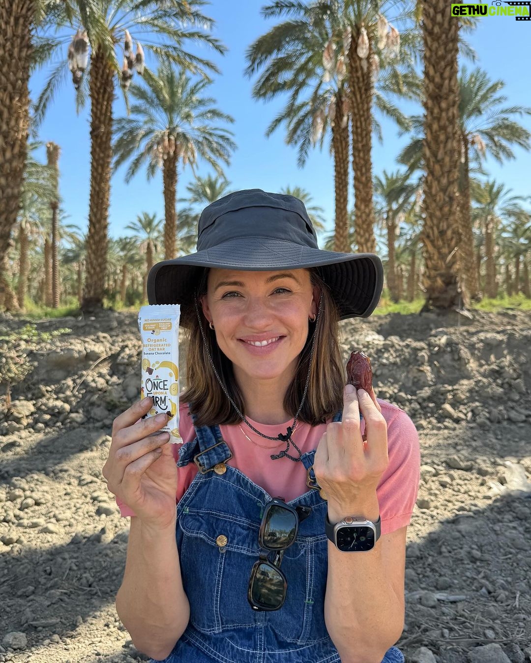 Jennifer Garner Instagram - I love meeting @onceuponafarm suppliers—and I’ll harvest dates for our products any time! 🌴👩🏻🌾☀️ I ♥️ farmers! Coachella Valley, California
