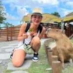 Jennifer Hong Instagram – 👇

這位水豚君小姐
看我手上拿著她愛吃的牧草
立刻靠近我

正當我把牧草遞給她時
她居然把頭撇向一旁定格不動⋯⋯⋯⋯⋯⋯⋯⋯⋯⋯⋯⋯⋯很久
我還以為她有什麼心事🤣

水豚君真的是一種逗趣又療癒人心的生物吶～
.
.
.
#lingling #水豚君 #班比山丘