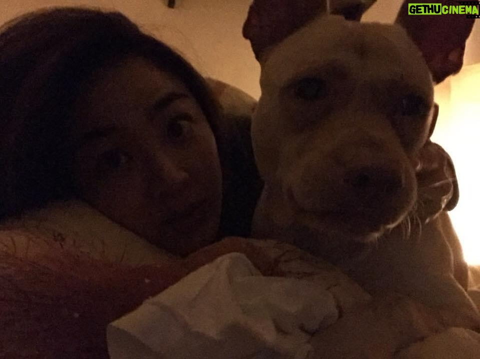 Jennifer Hong Instagram - ： 濕濕冷冷的夜晚 最適合跟馬尼抱在一起取暖啦～晚安🤗 . . . #lingling #毛孩子是家人 #抱抱 #晚安 #night #領養代替購買 #結紮代替撲殺
