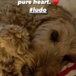 Jennifer Lindberg Instagram -